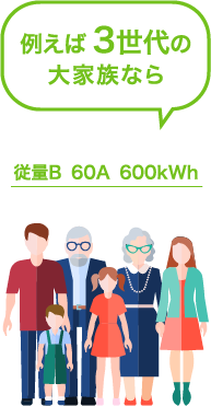 例えば 3世代の 大家族なら従量B 60A 600kWh